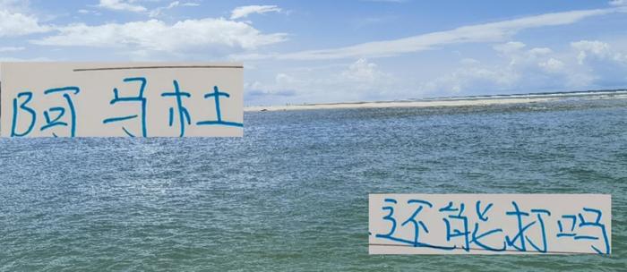 申花这么贵的医疗团队 没想到是中超前4伤病最重 阿马杜还能打吗